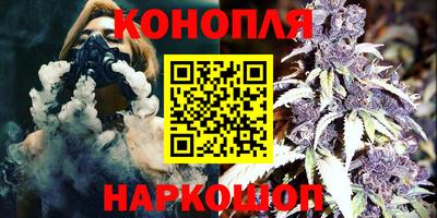 прущие грибы Краснознаменск
