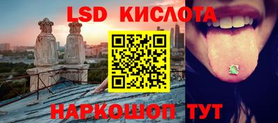 прущие грибы Краснознаменск