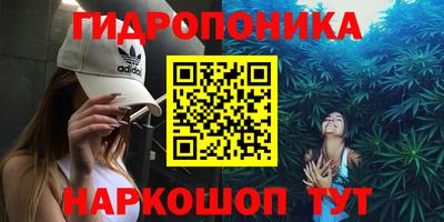 прущие грибы Краснознаменск