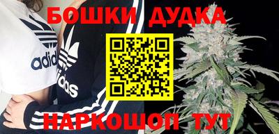 прущие грибы Краснознаменск