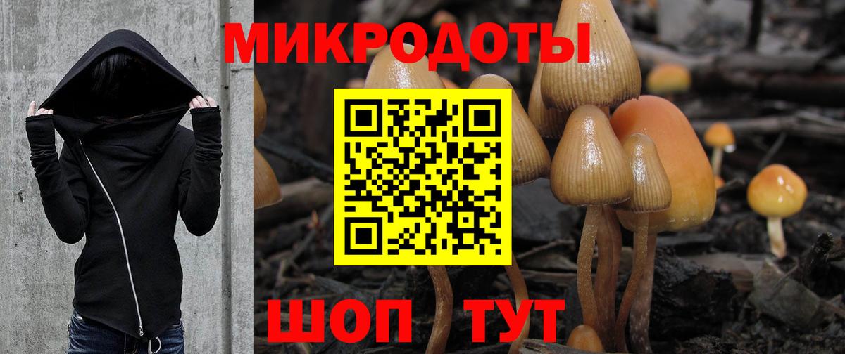 Галлюциногенные грибы прущие грибы Ульяновск